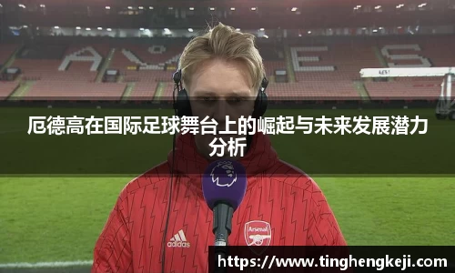 易游体育