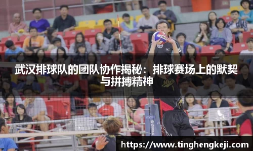 武汉排球队的团队协作揭秘：排球赛场上的默契与拼搏精神