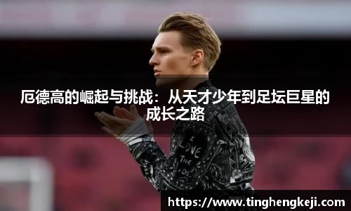 yy易游